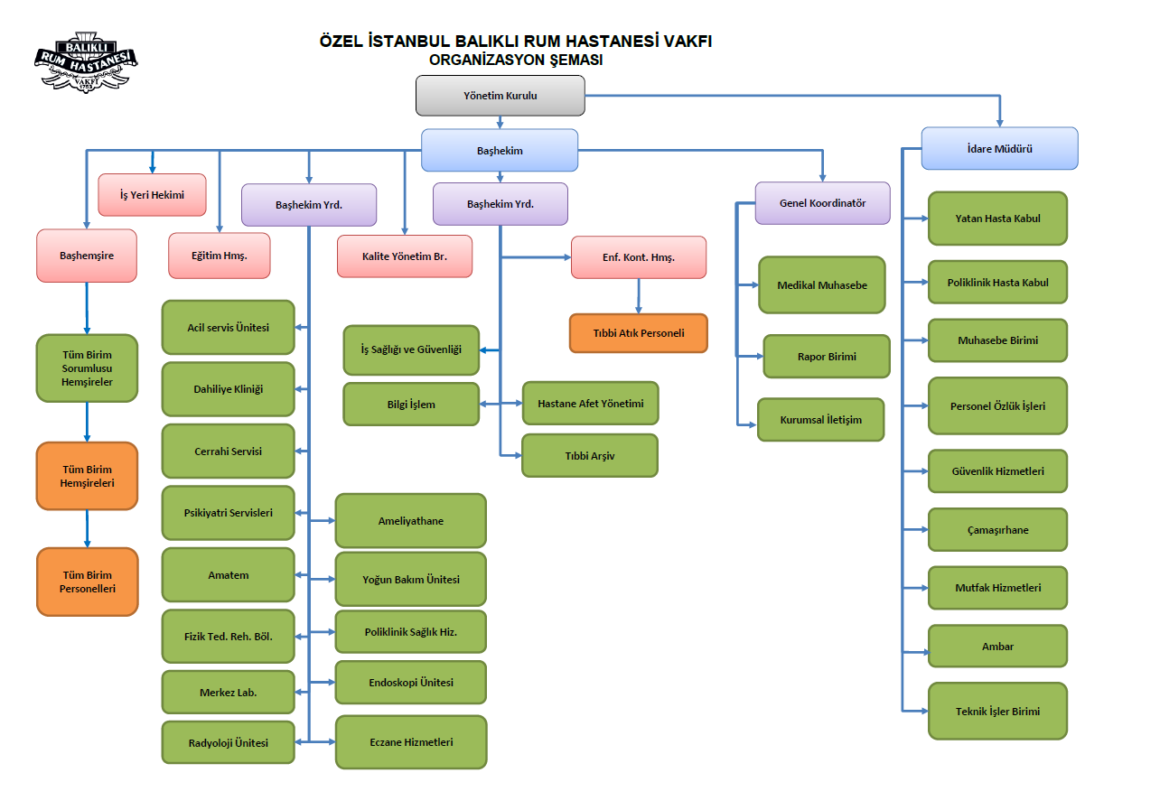 ORGANİZASYON ŞEMASI